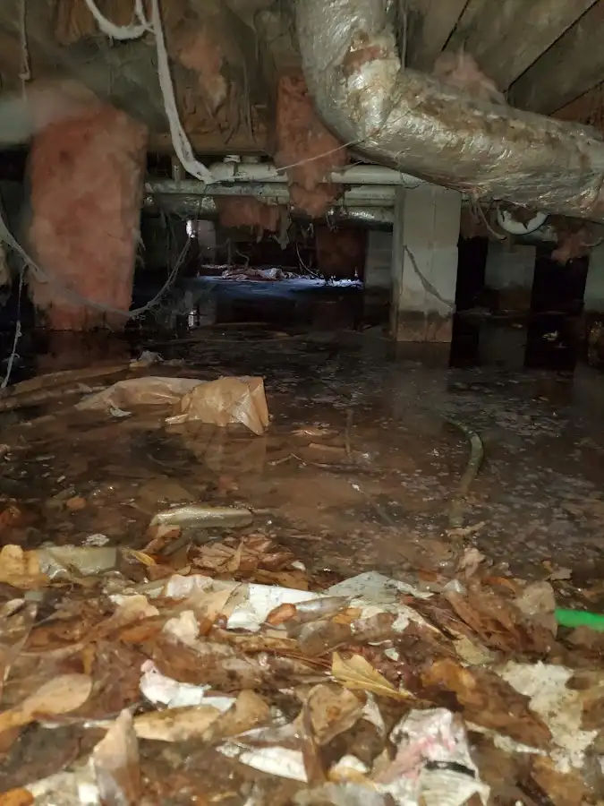 Crawl space flood assessment for Leak Detection & Repair in Cherry Hill